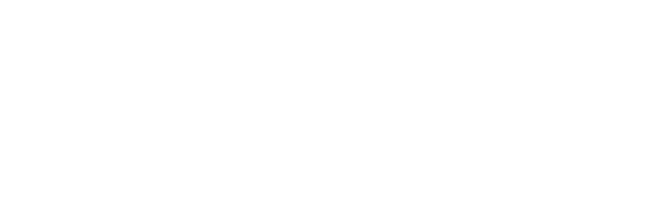 Tuncurry Coaches